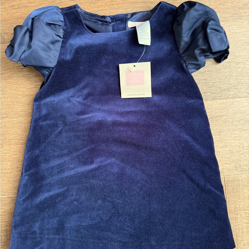 NWT Blue Velvet Janie & Jack Dress